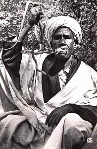 Images d'Algerie 129